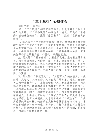 “三个践行”心得体会