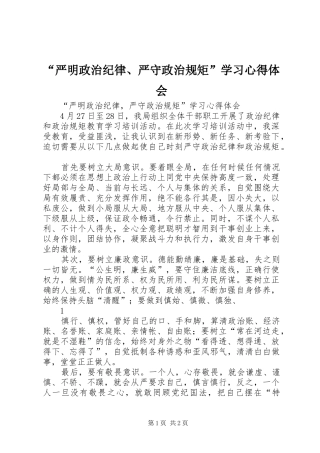 “严明政治纪律、严守政治规矩”学习心得体会
