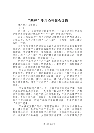 “两严”学习心得体会3篇