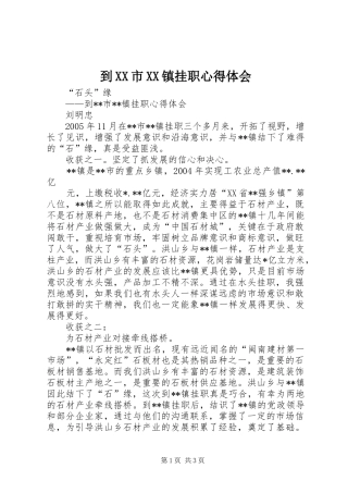 到XX市XX镇挂职心得体会