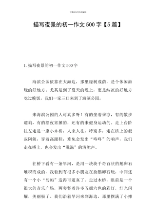 描写夜景的初一作文500字
