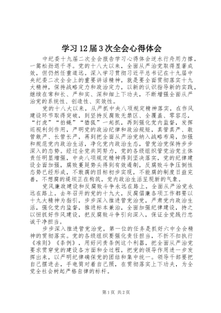 学习12届3次全会心得体会 (5)