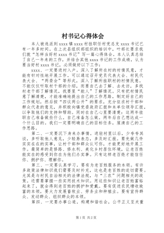 村书记心得体会