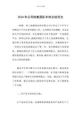 2024年公司销售团队年终总结范文
