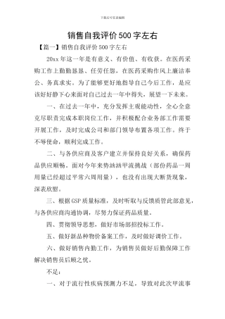 销售自我评价500字左右