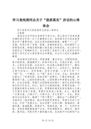 学习袁纯清同志关于“狠抓落实”讲话的心得体会