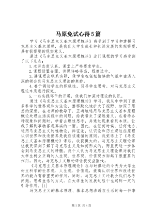 马原免试心得5篇