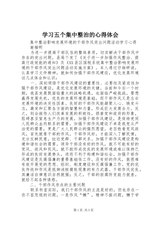 学习五个集中整治的心得体会