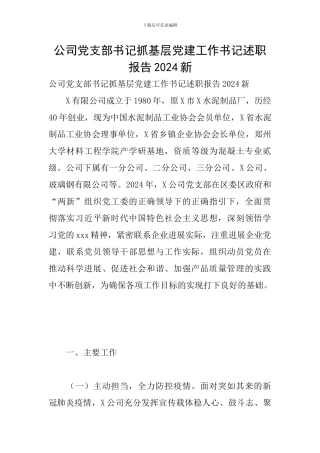 公司党支部书记抓基层党建工作书记述职报告2024新