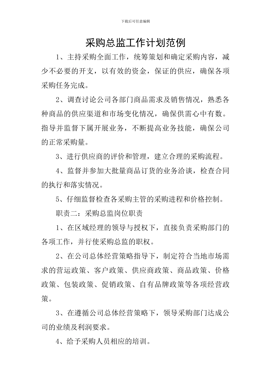 采购总监工作计划范例_第1页