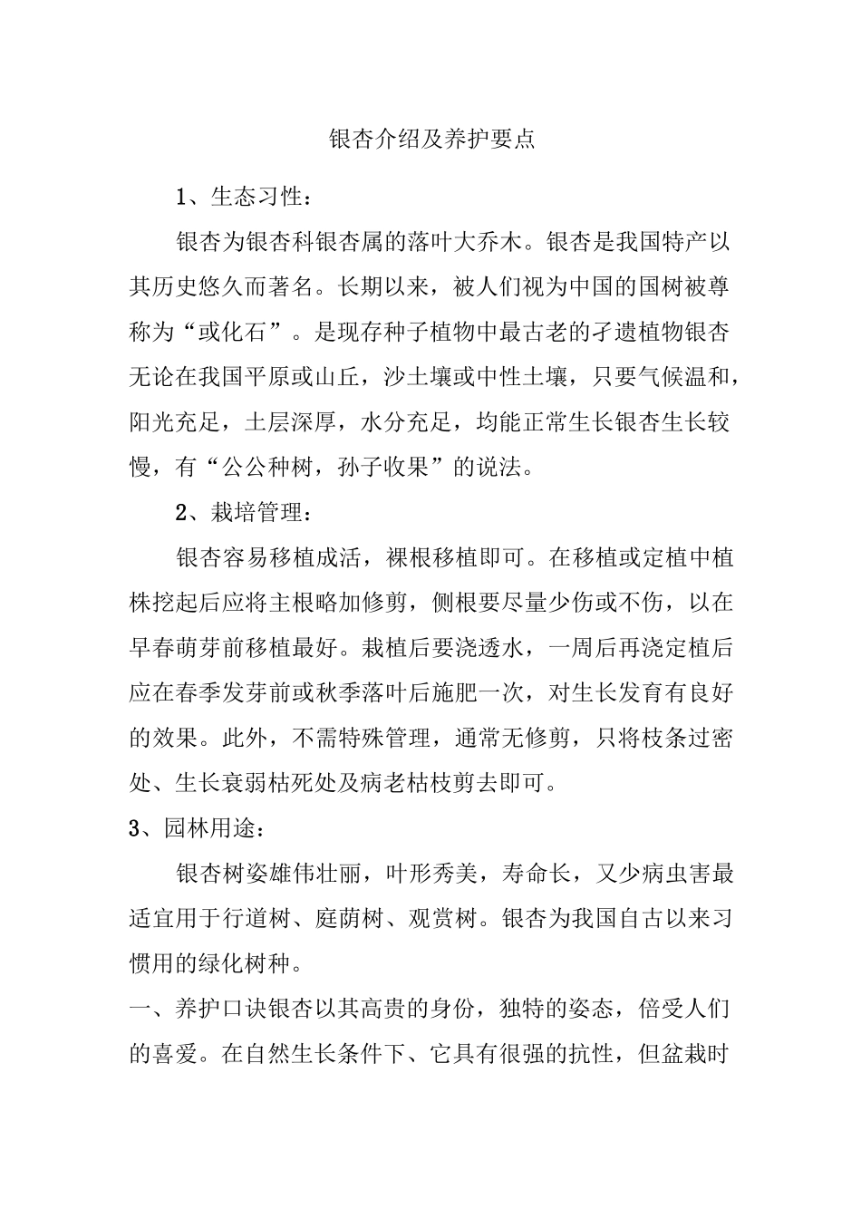 银杏介绍及养护要点_第1页