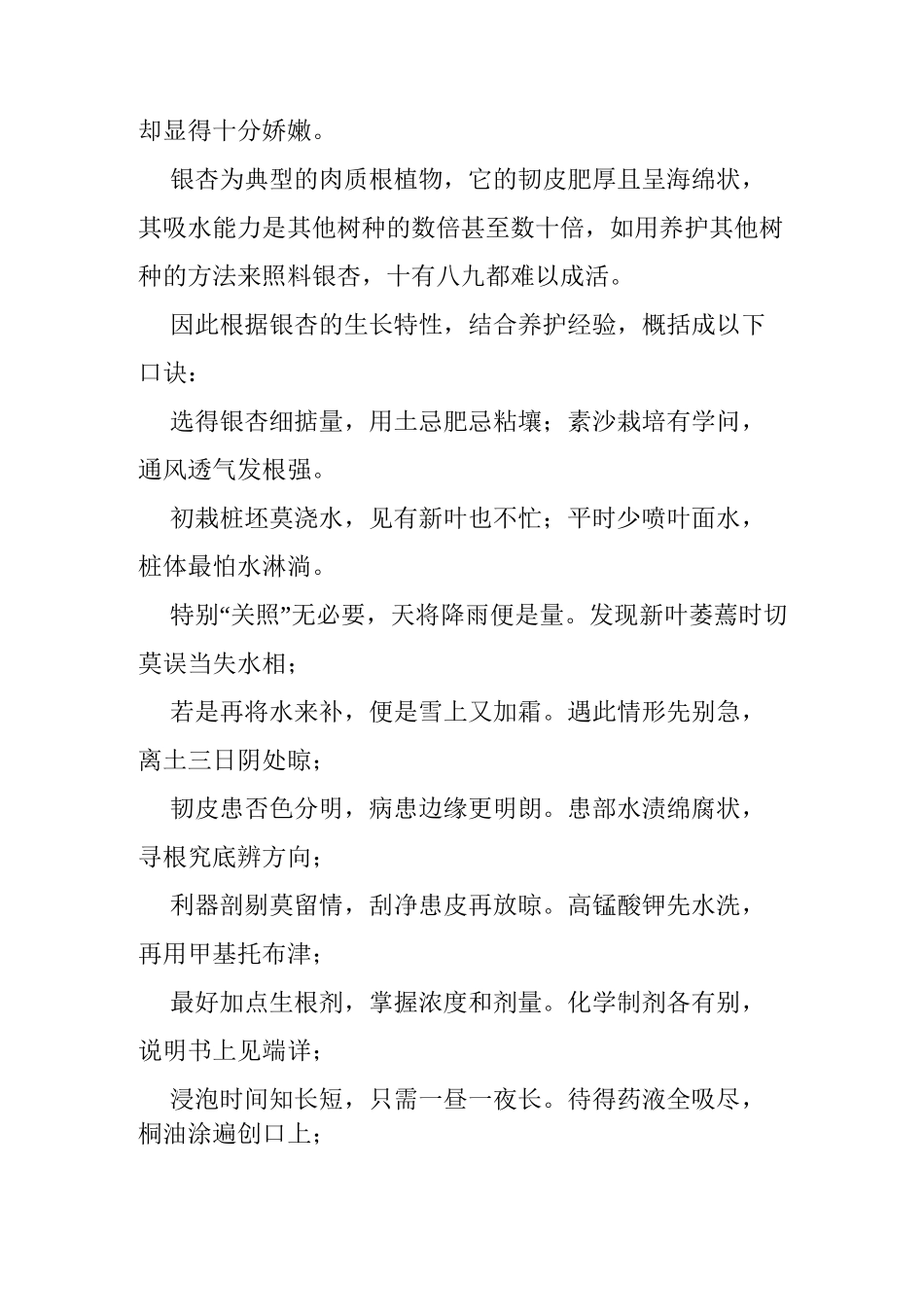 银杏介绍及养护要点_第2页