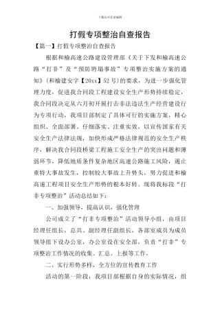 打假专项整治自查报告