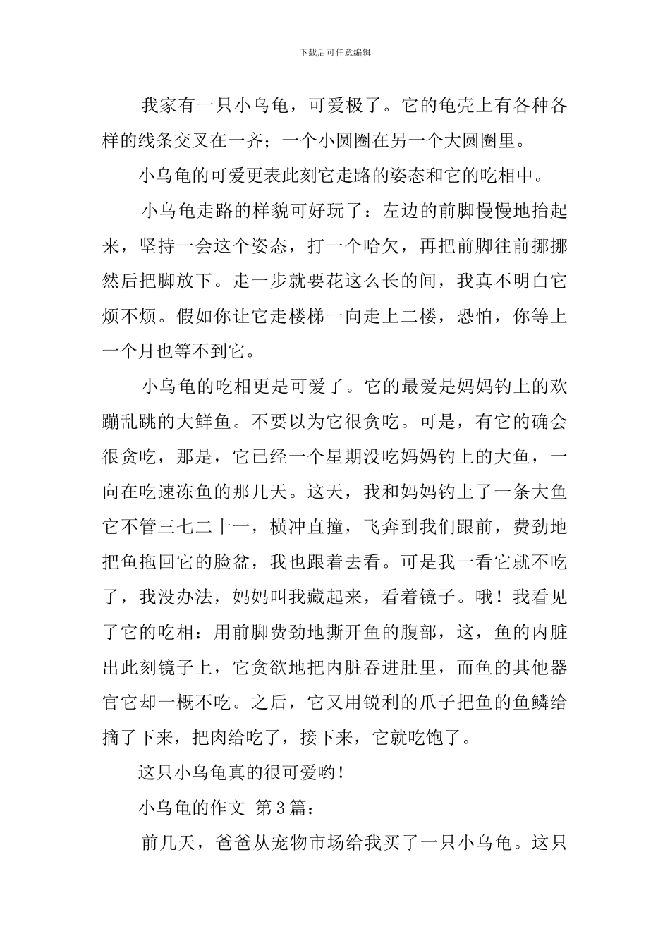 小乌龟的作文_第2页
