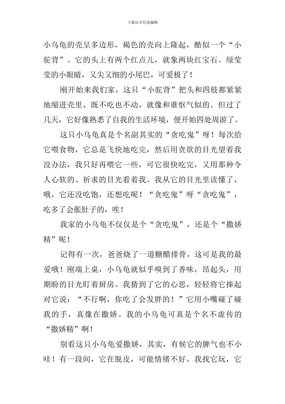 小乌龟的作文_第3页