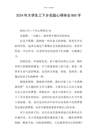 2024年大学生三下乡实践心得体会800字