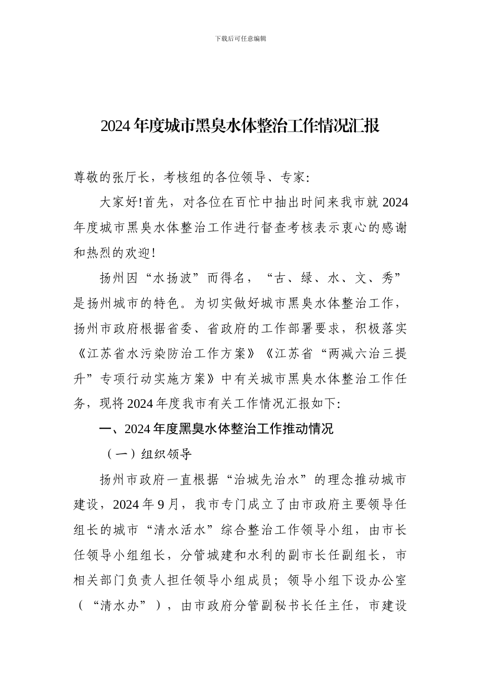2024年度城市黑臭水体整治工作情况汇报_第1页