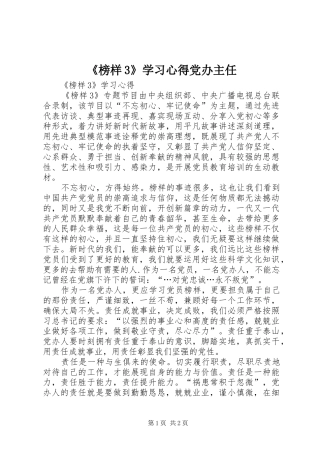 《榜样3》学习心得党办主任 (3)