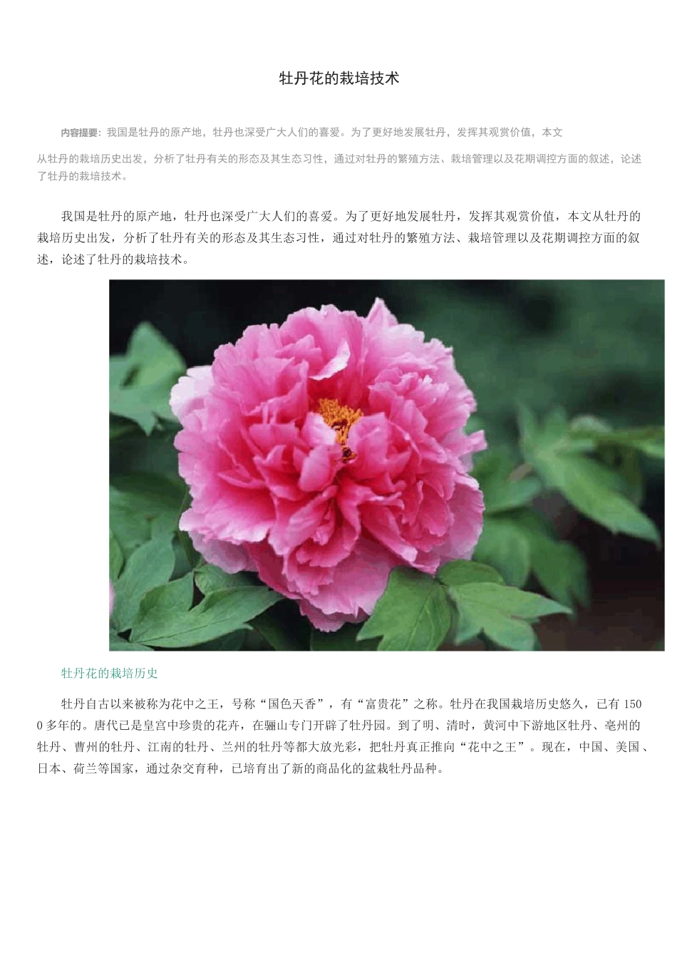 牡丹花的栽培技术_第1页