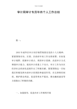 审计局审计专员年终个人工作总结