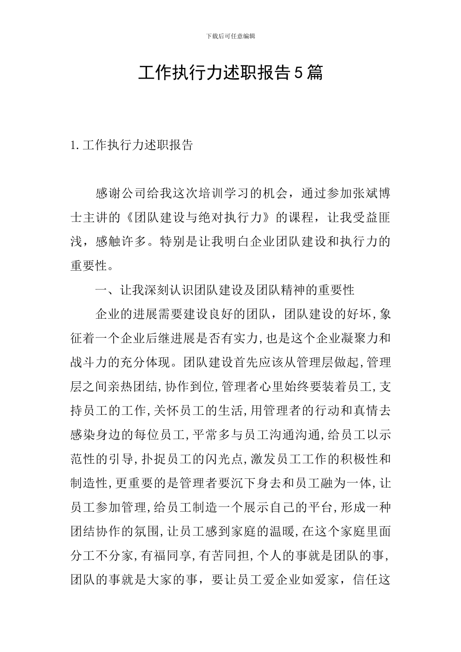 工作执行力述职报告5篇_第1页