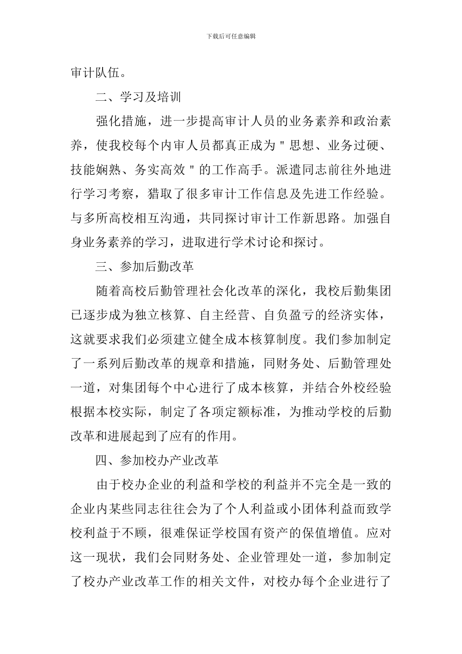审计人员年终工作总结范文_第2页