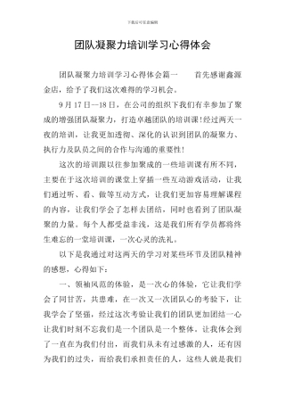 团队凝聚力培训学习心得体会