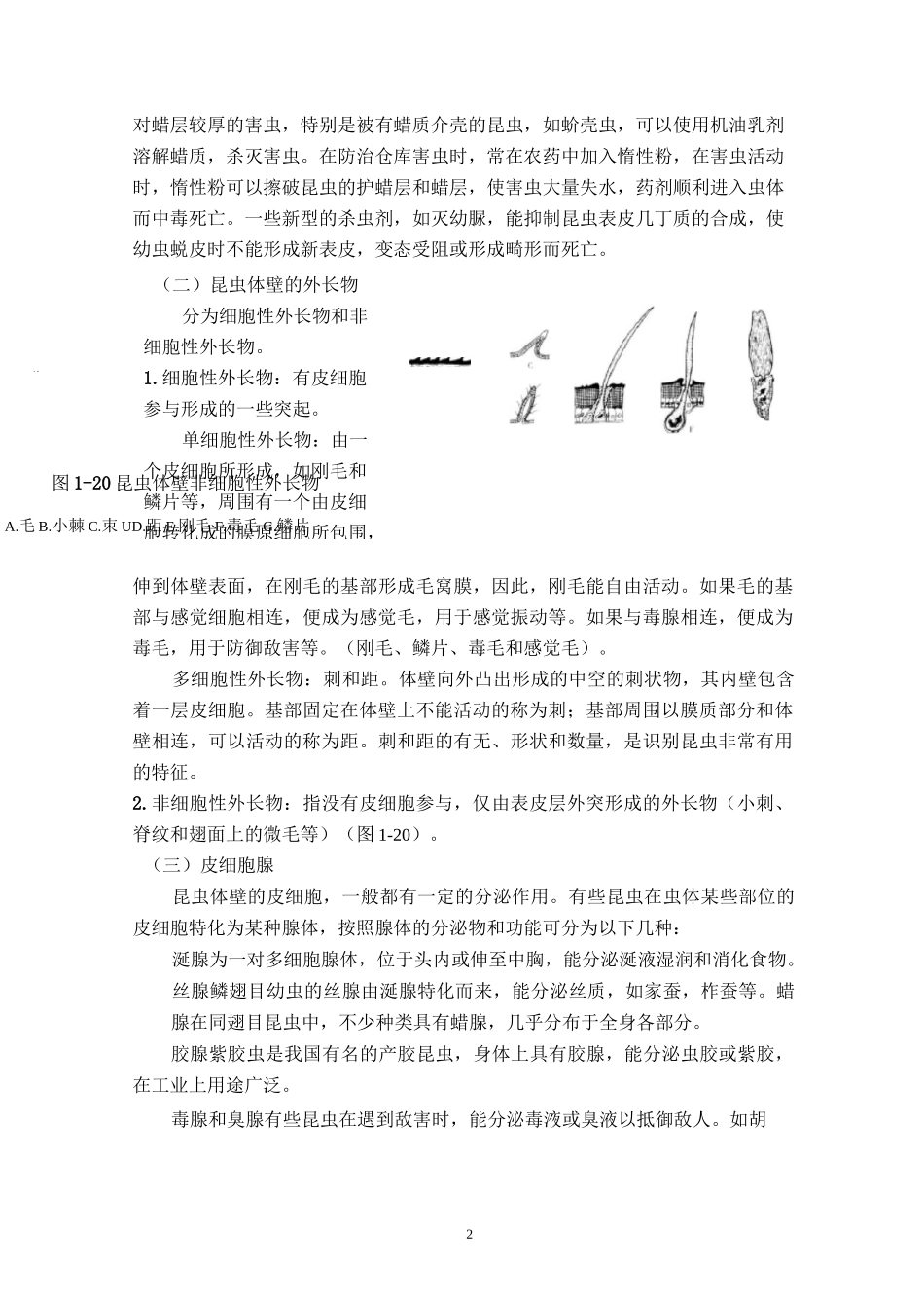 第三节 昆虫的体壁和内部器官_第2页