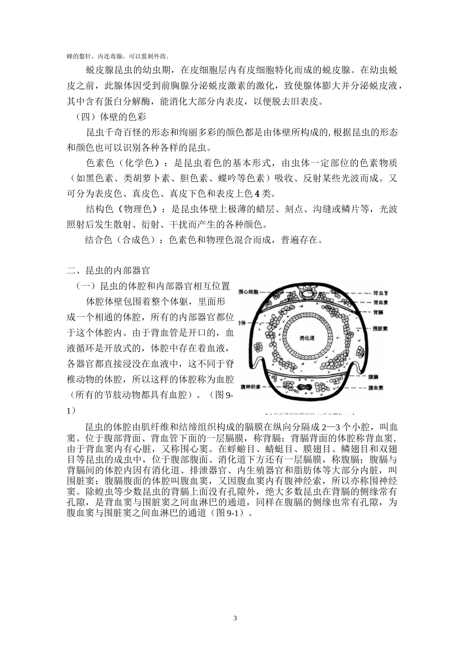 第三节 昆虫的体壁和内部器官_第3页