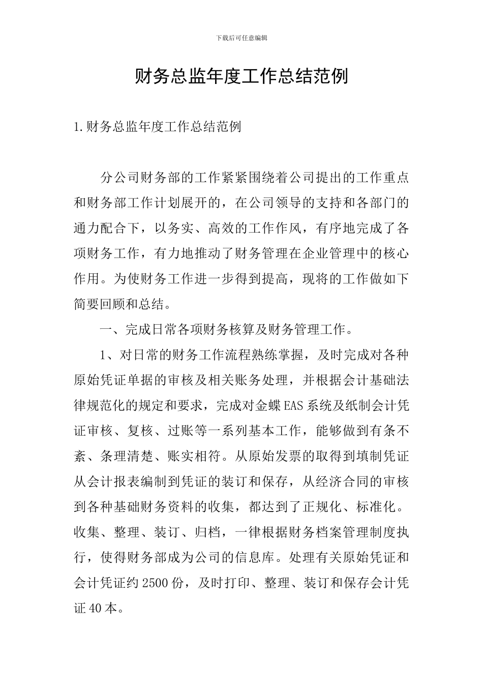 财务总监年度工作总结范例_第1页