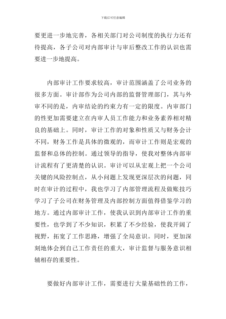 审计人员试用期工作总结_第2页
