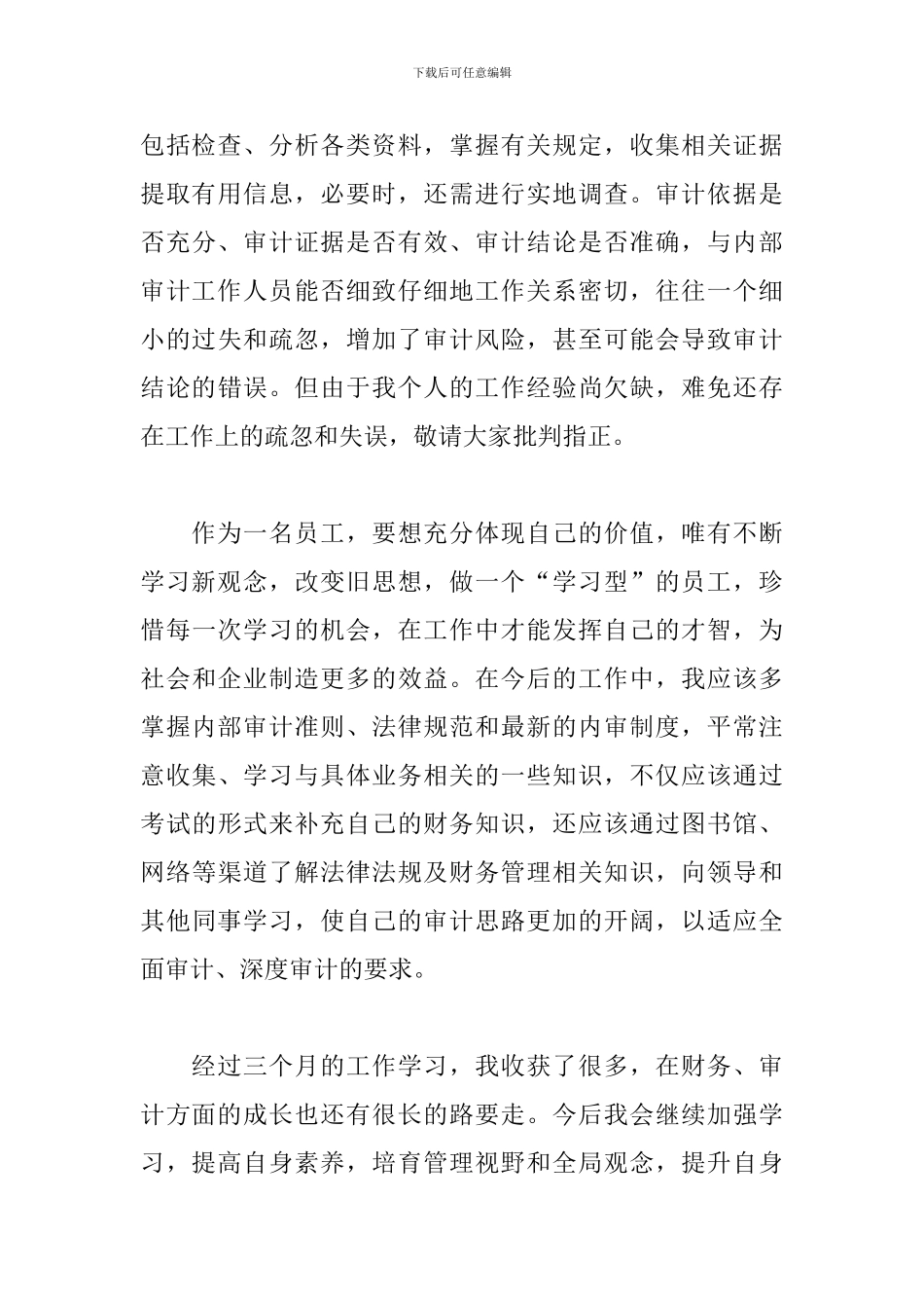 审计人员试用期工作总结_第3页
