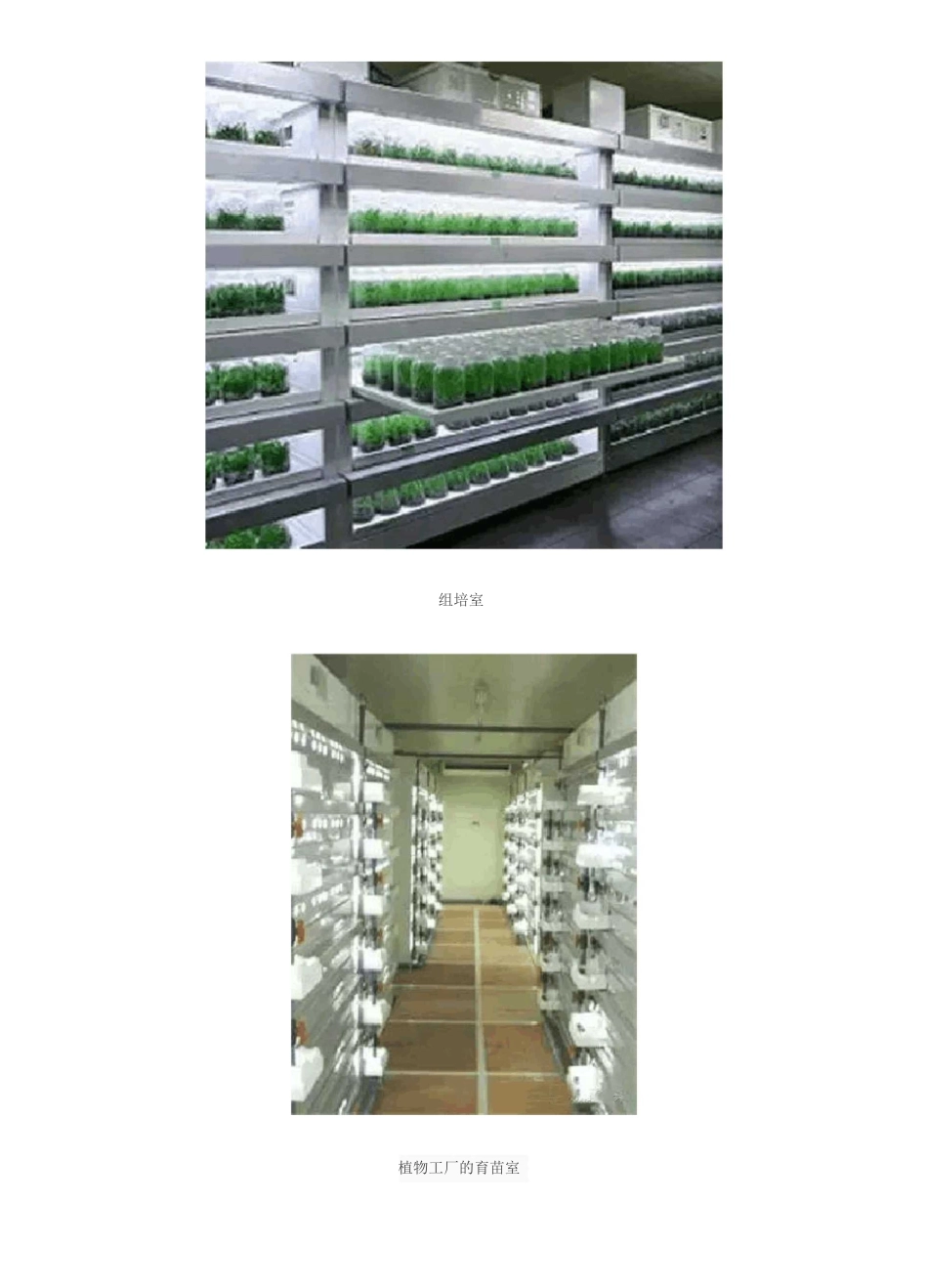 带你走进全球各式的植物工厂_第2页