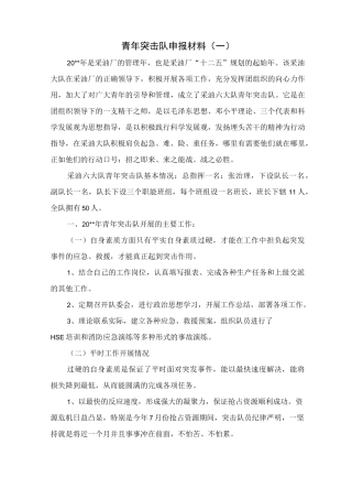 青年突击队申报材料