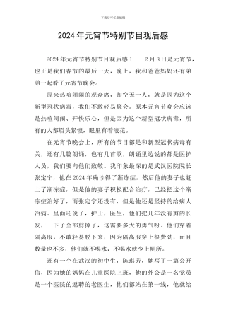 2024年元宵节特别节目观后感
