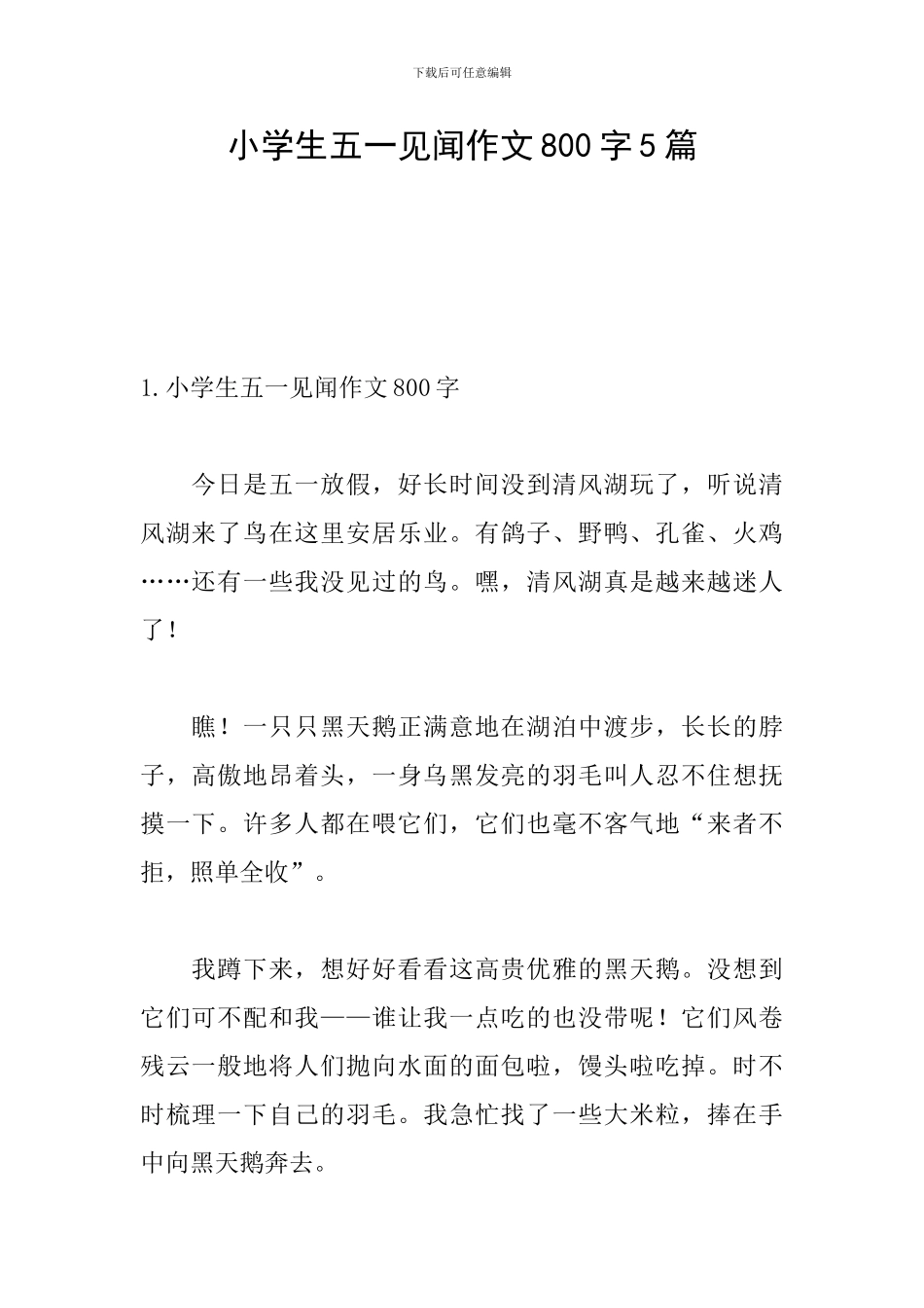 小学生五一见闻作文800字5篇_第1页