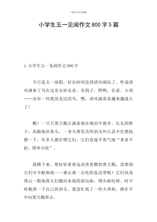 小学生五一见闻作文800字5篇