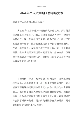 2024年个人试用期工作总结文本