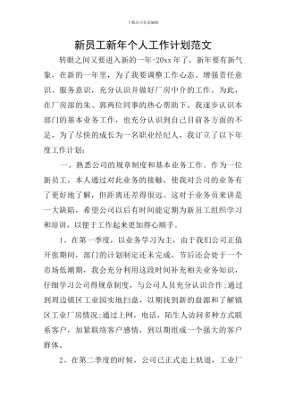新员工新年个人工作计划范文