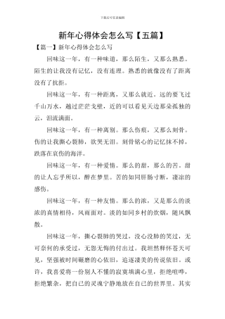 新年心得体会怎么写