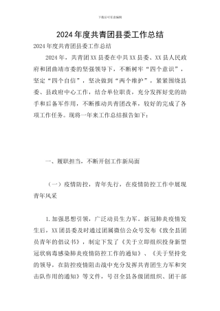 2024年度共青团县委工作总结