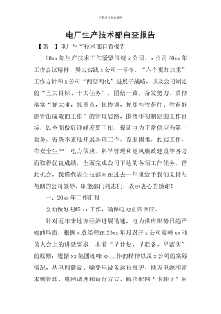 电厂生产技术部自查报告