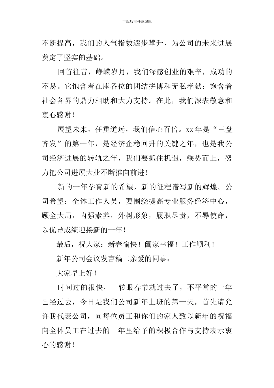 新年公司会议发言稿_第2页