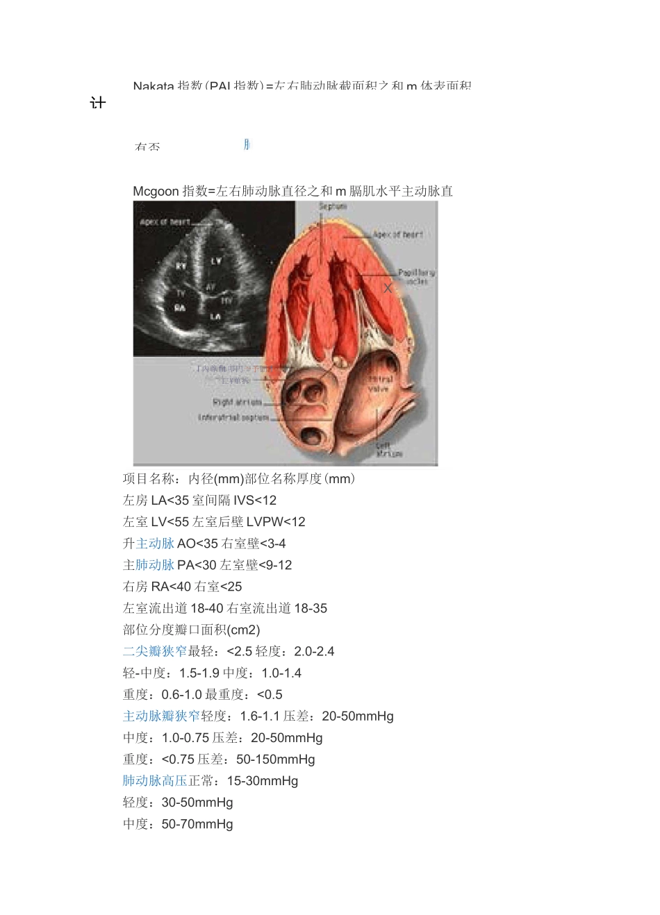 心脏彩超正常值汇总_第2页