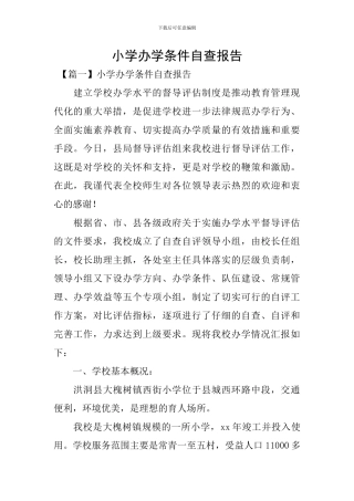 小学办学条件自查报告