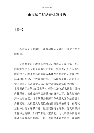 电商试用期转正述职报告