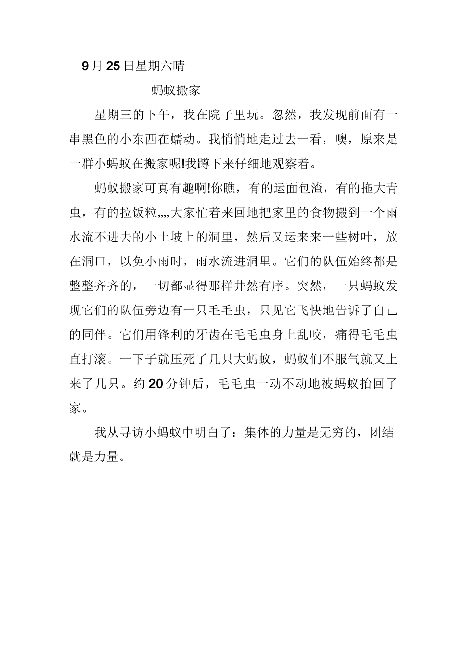 观察动物日记作文_第1页