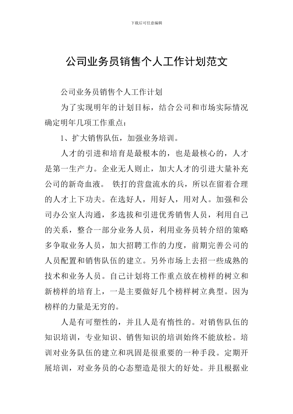 公司业务员销售个人工作计划范文_第1页