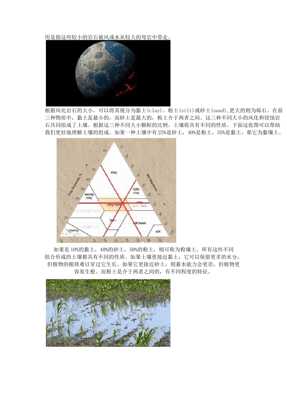 中国土壤的分类及分布_第2页