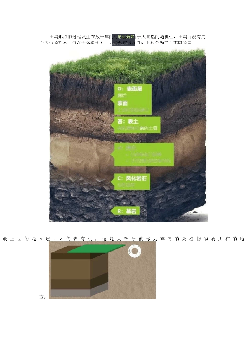 中国土壤的分类及分布_第3页